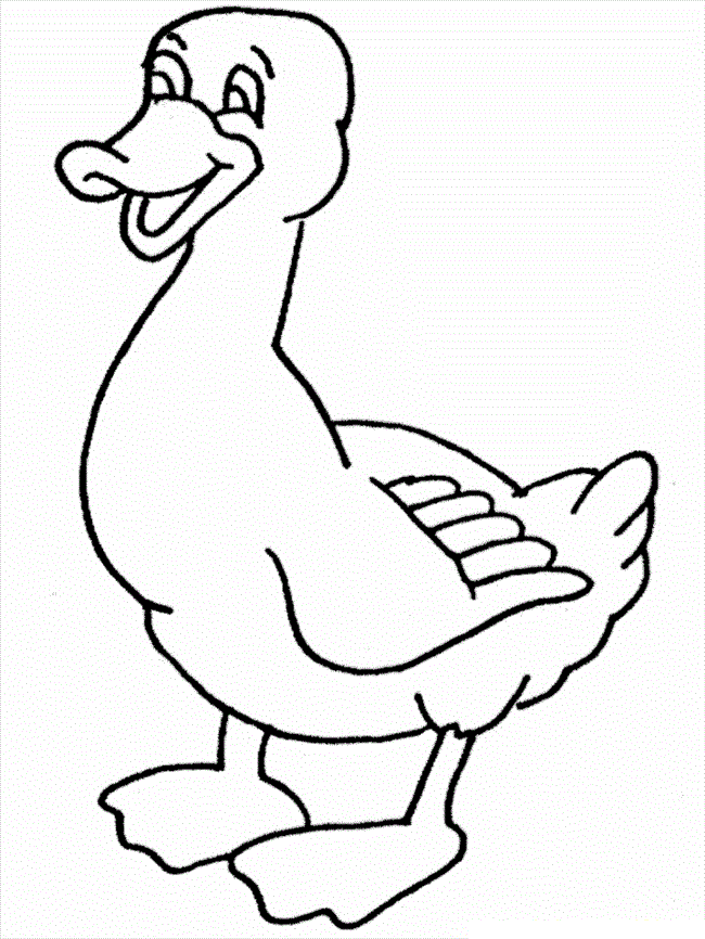 31 Cute Duck Coloring Pages Printable 33