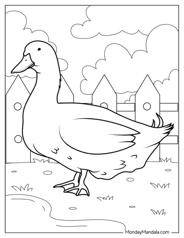 31 Cute Duck Coloring Pages Printable 5