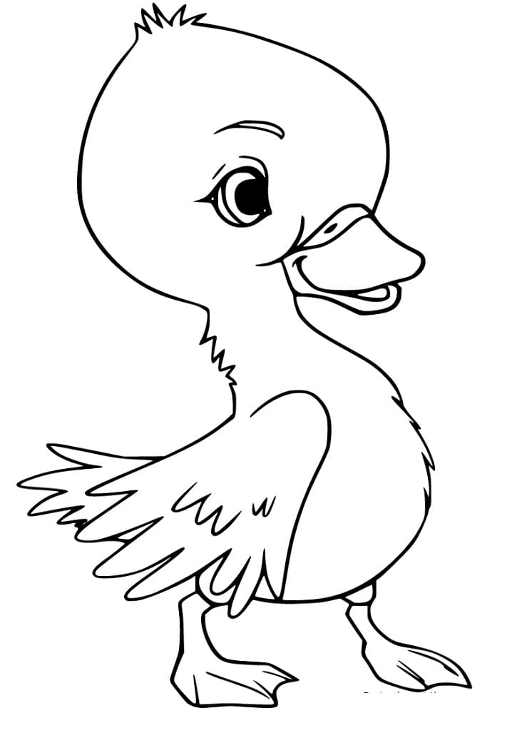 31 Cute Duck Coloring Pages Printable 7