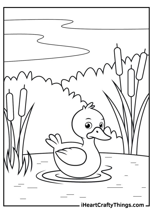 31 Cute Duck Coloring Pages Printable 8