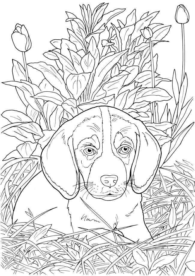 31 Fun Dog Bone Coloring Pages Printable 12