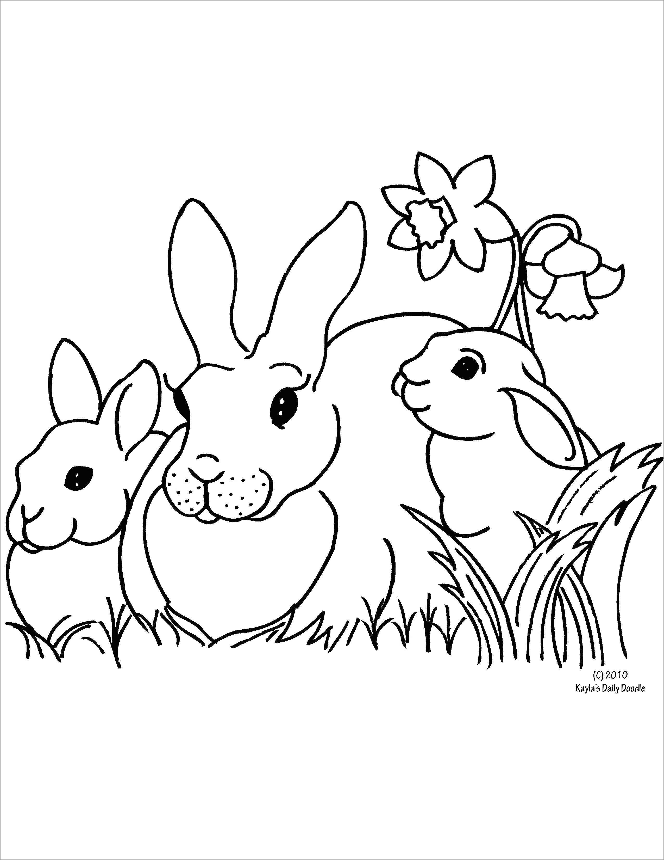 31 Happy Bunny Coloring Pages Printable 12