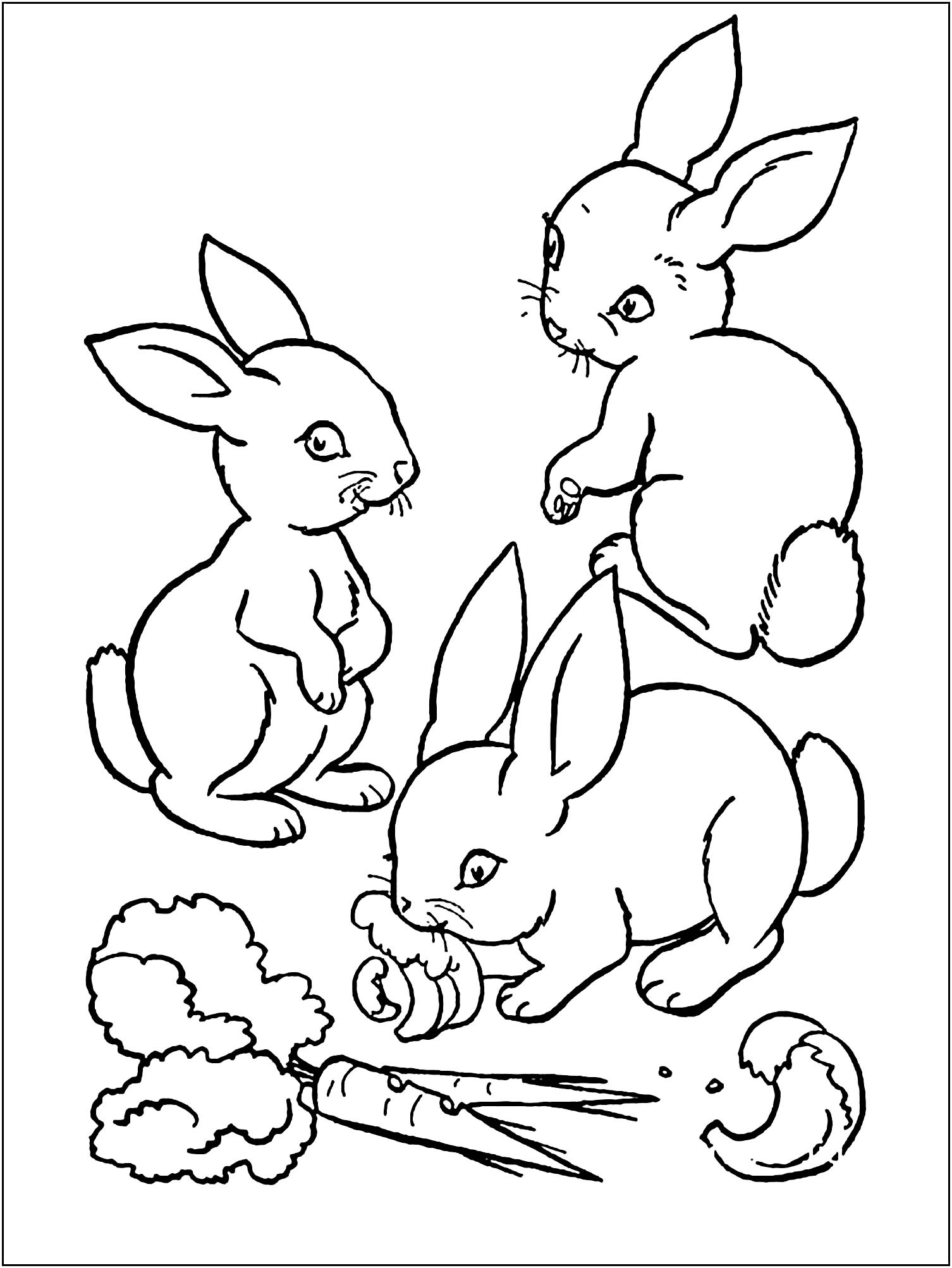 31 Happy Bunny Coloring Pages Printable 13