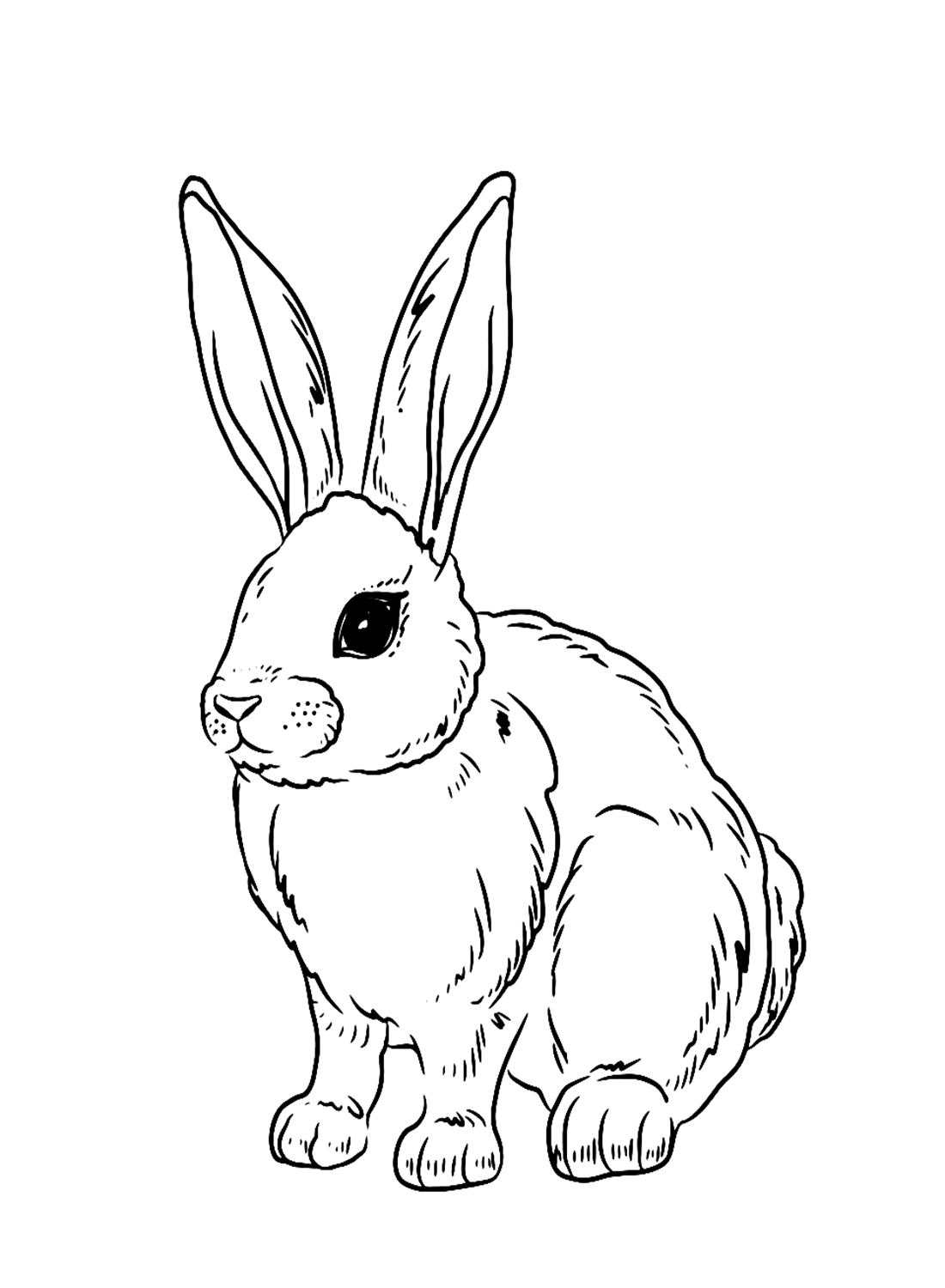 31 Happy Bunny Coloring Pages Printable 29