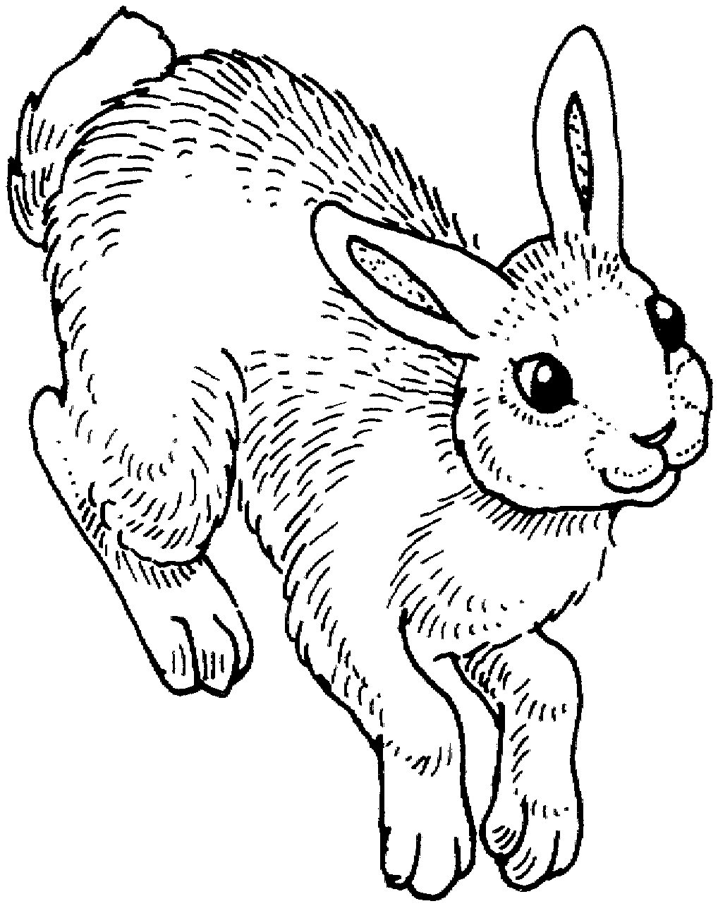 31 Happy Bunny Coloring Pages Printable 9