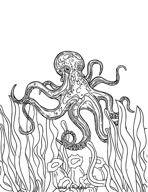 31 Mesmerizing Octopus Coloring Pages Printable 19