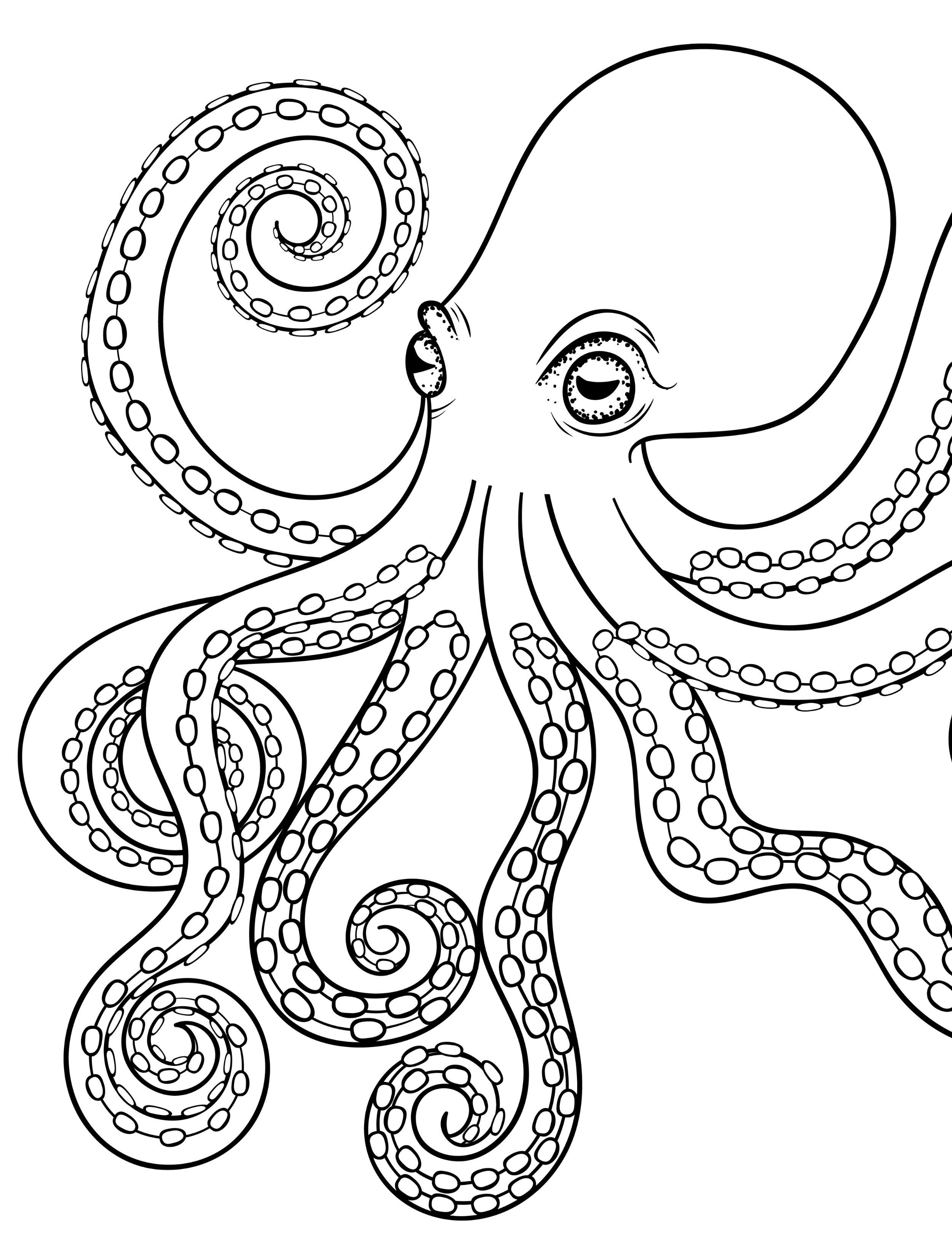 31 Mesmerizing Octopus Coloring Pages Printable 25