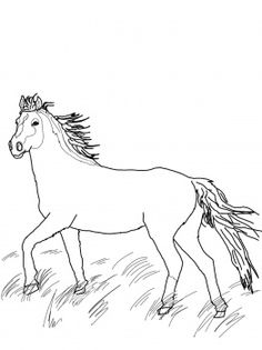 33 Classic Mustang Coloring Pages Printable 20