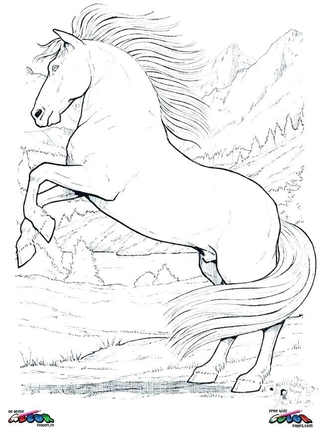 33 Classic Mustang Coloring Pages Printable 31