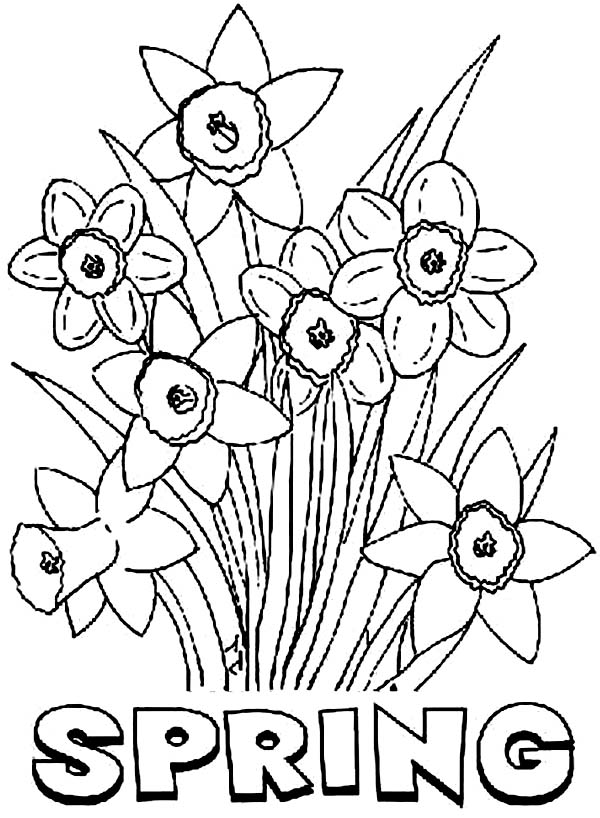 33 Flower Coloring Pages for Kids Printable 17