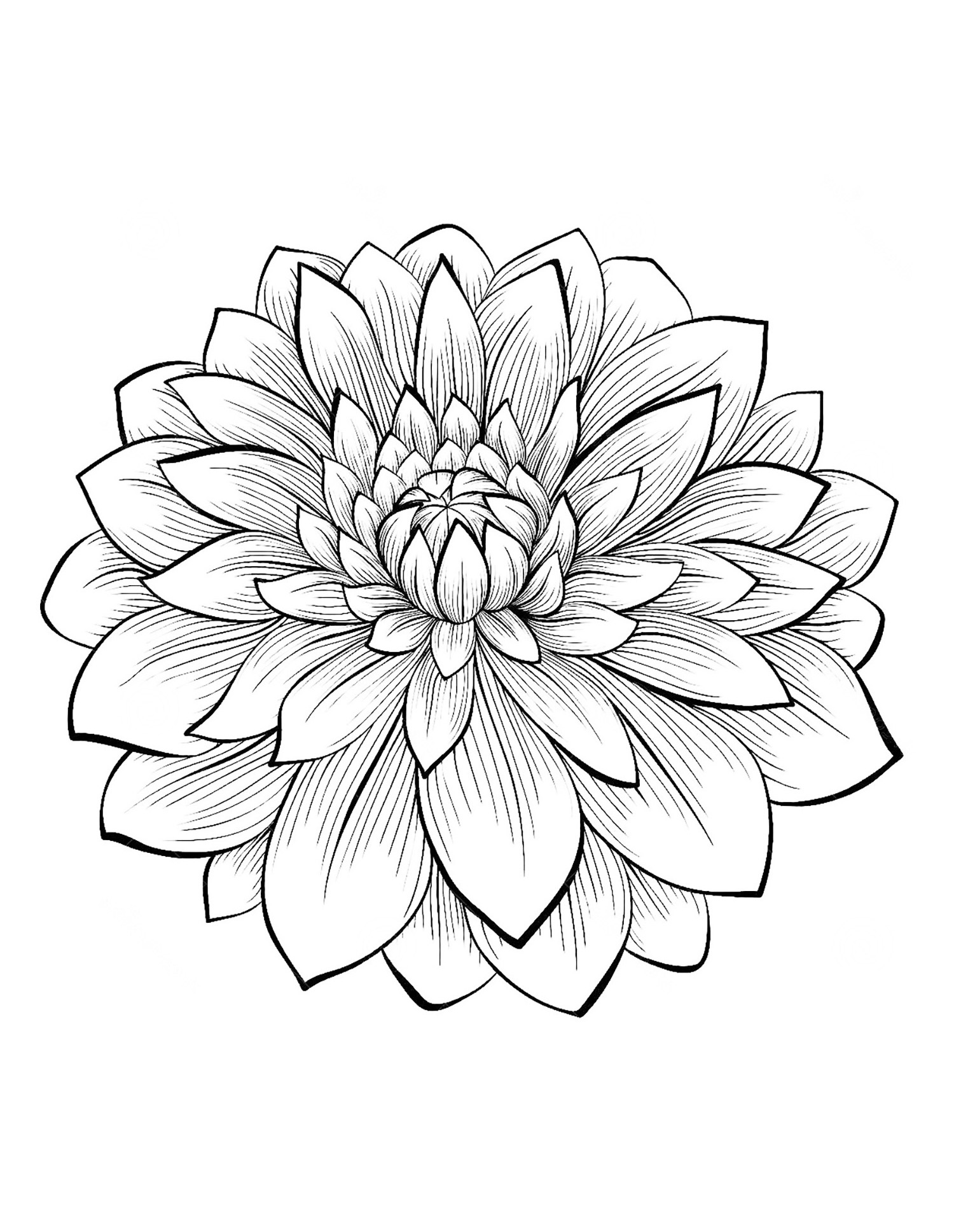 33 Flower Coloring Pages for Kids Printable 20