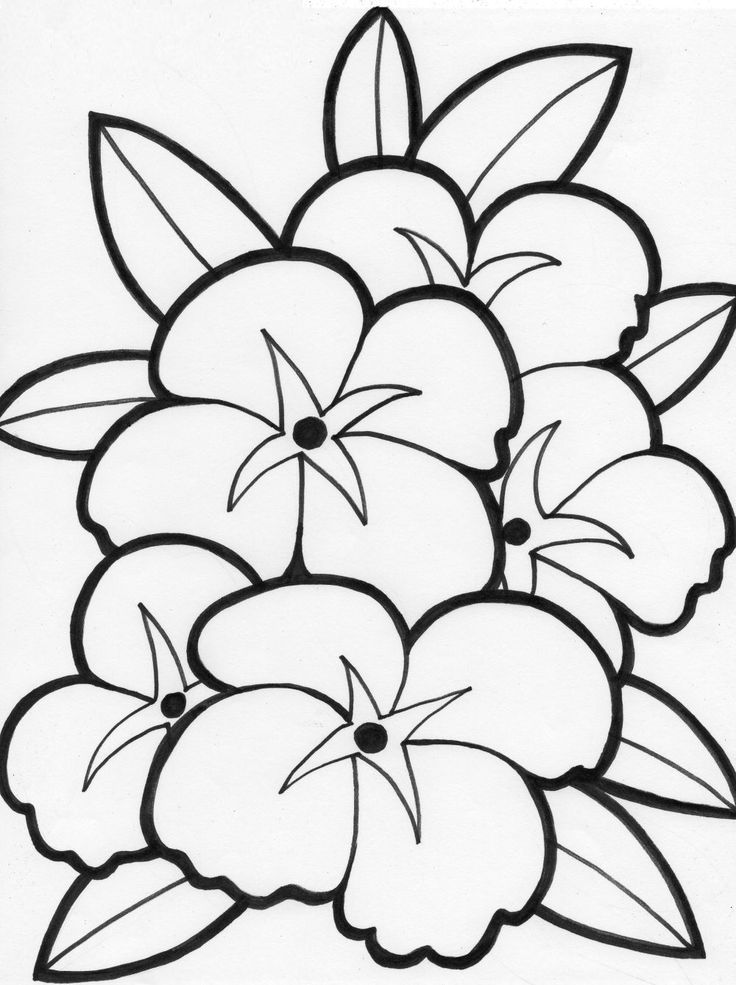 33 Flower Coloring Pages for Kids Printable 30