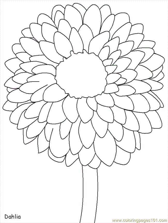 33 Flower Coloring Pages for Kids Printable 9