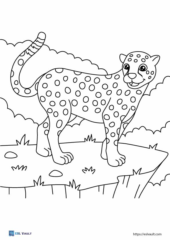 34 Cheetah Coloring Pages Printable 3