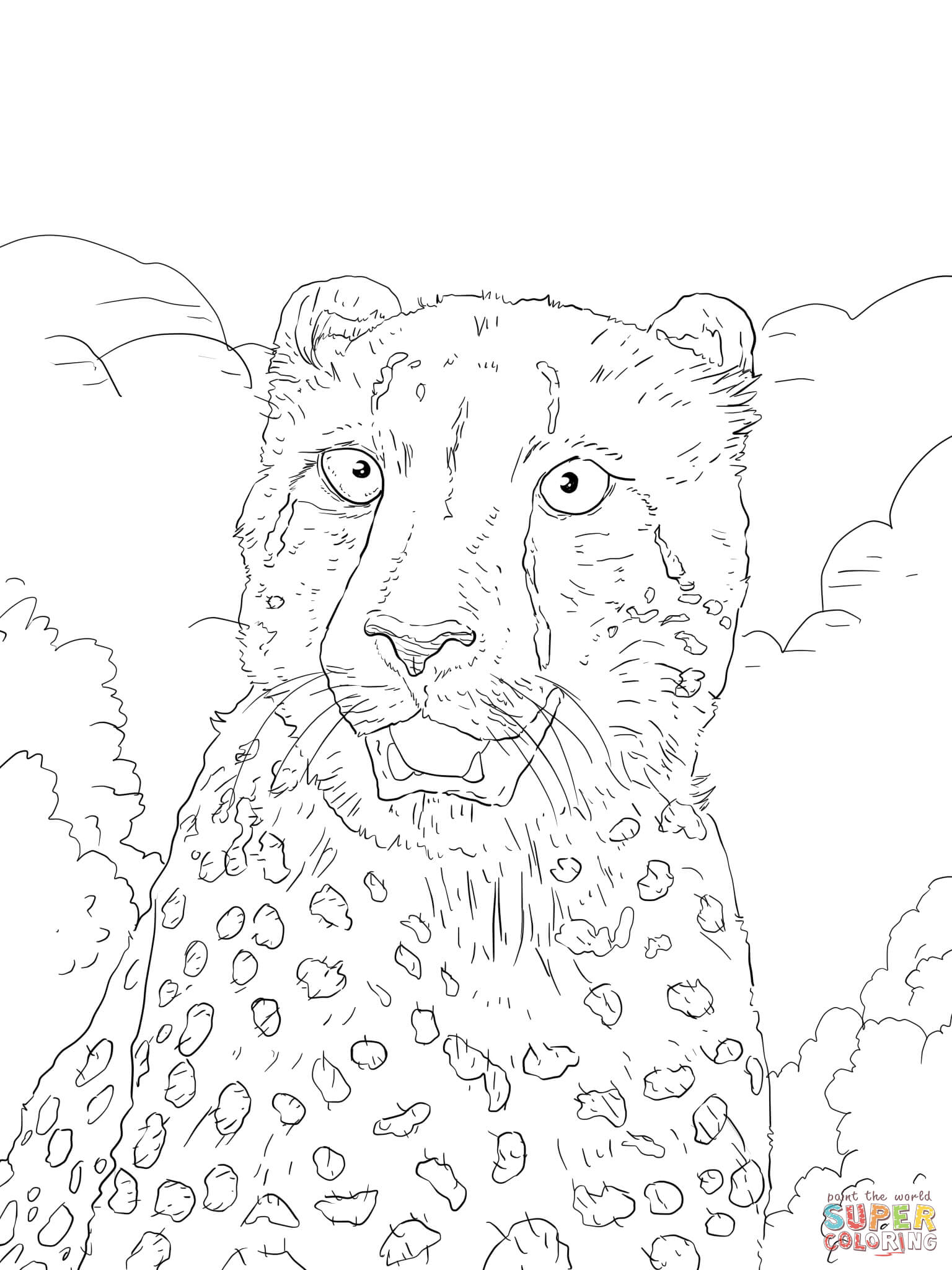 34 Cheetah Coloring Pages Printable 31