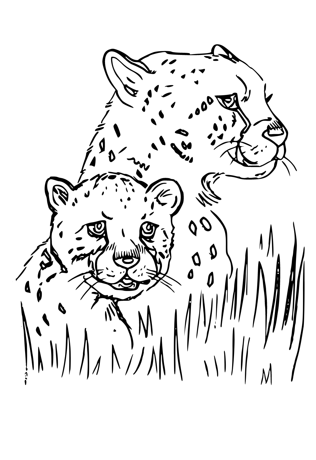 34 Cheetah Coloring Pages Printable 4