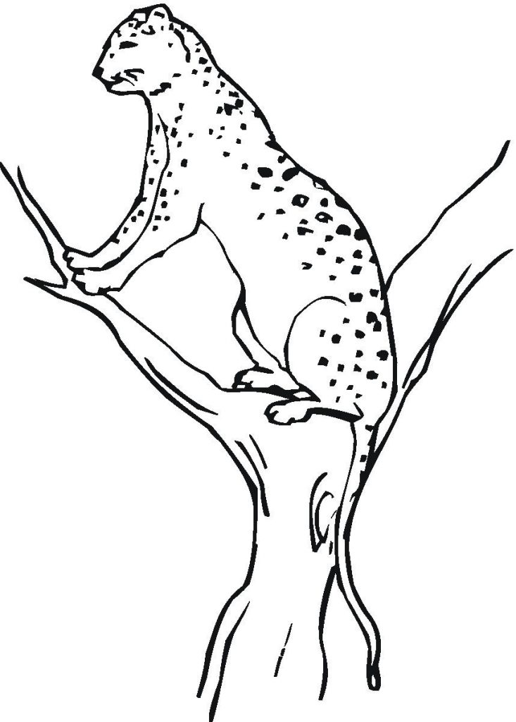 34 Cheetah Coloring Pages Printable 7