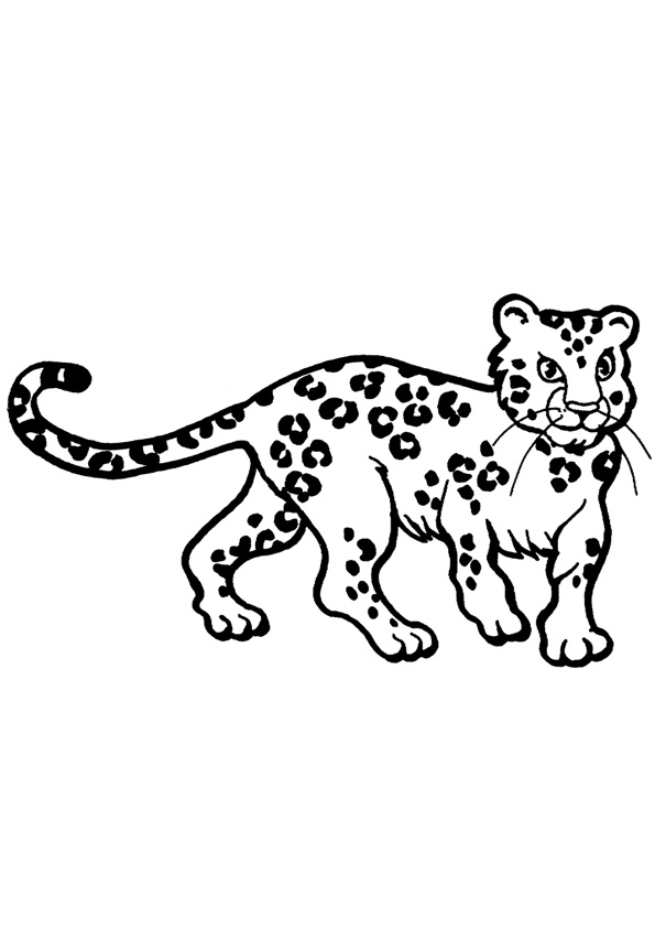 34 Cheetah Coloring Pages Printable 9