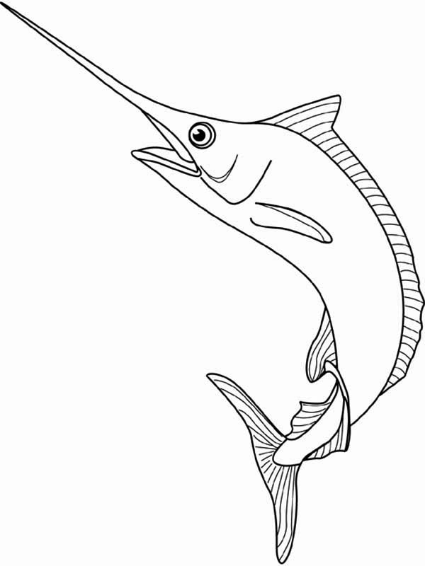 34 Graceful Swordfish Coloring Pages Printable 1