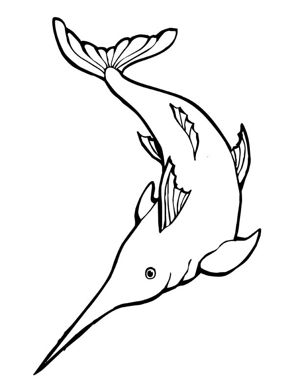 34 Graceful Swordfish Coloring Pages Printable 30