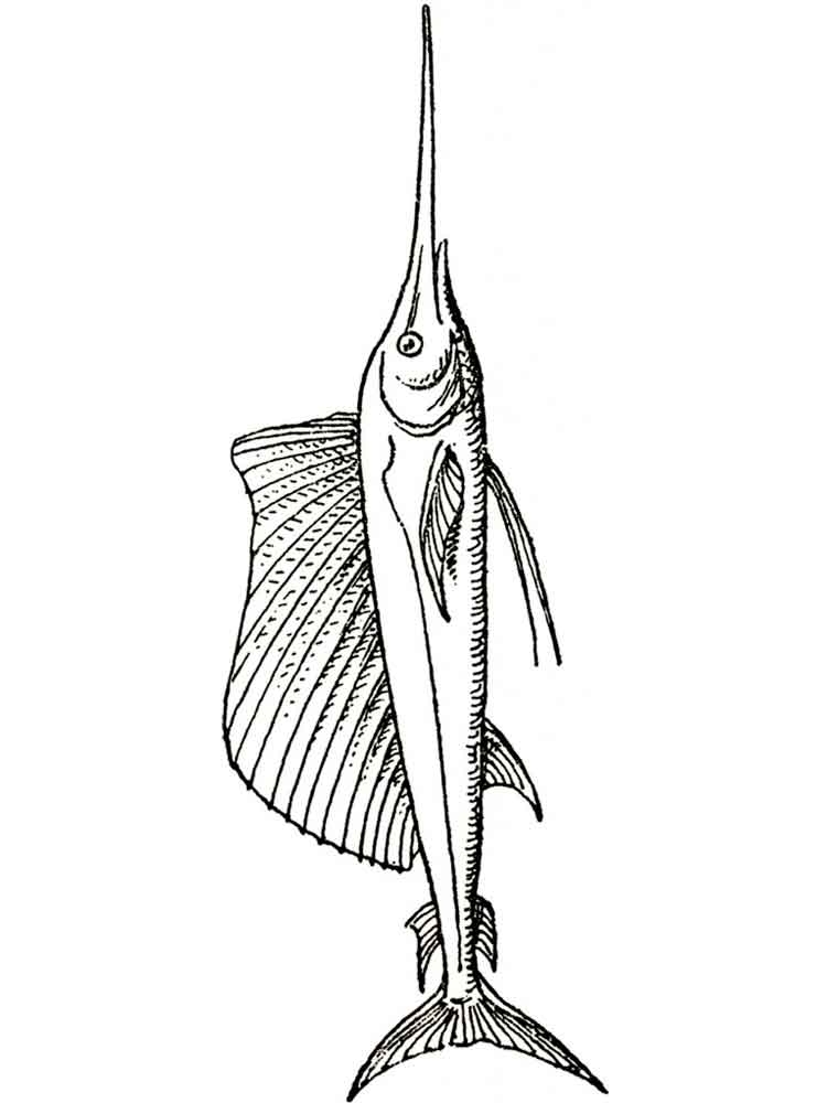 34 Graceful Swordfish Coloring Pages Printable 31