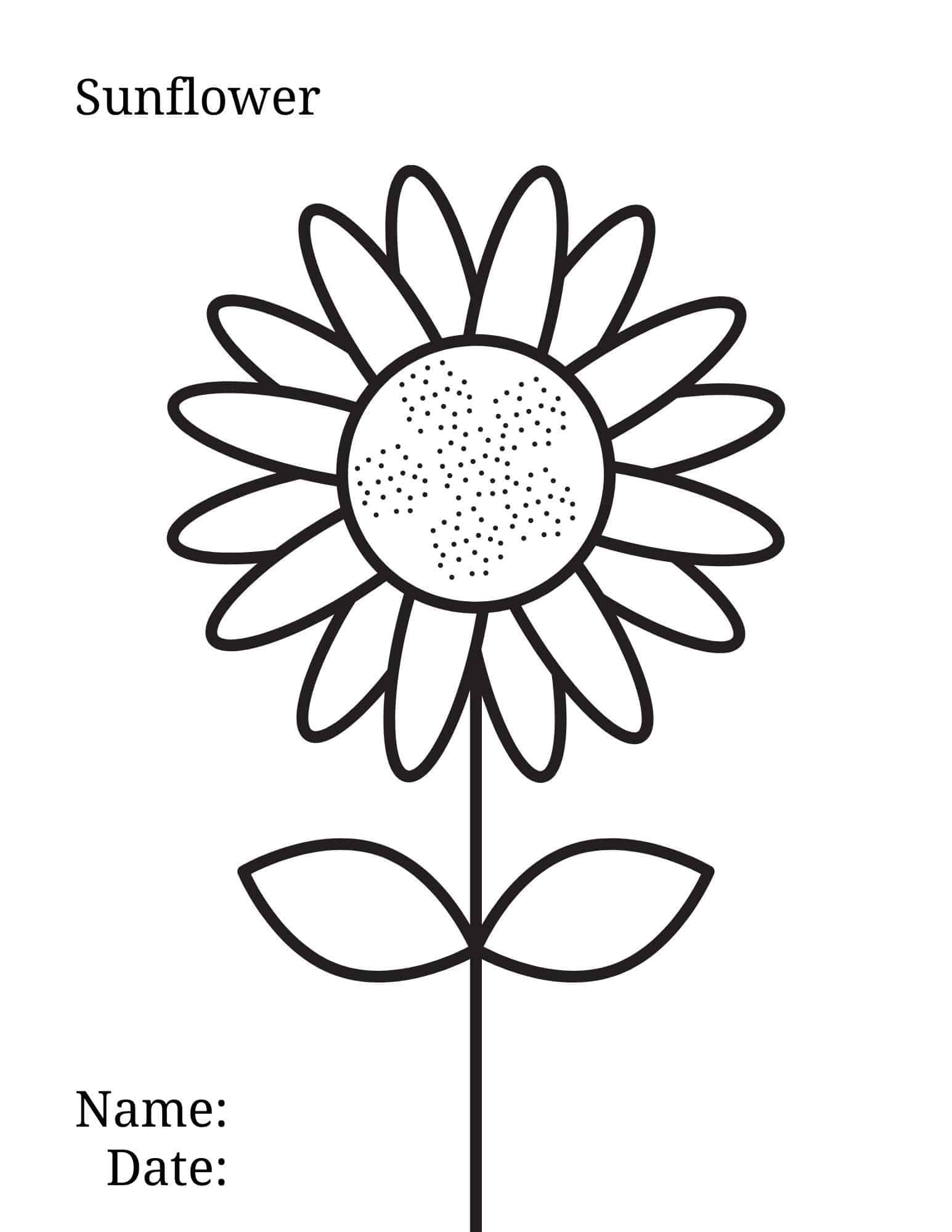 34 Sunny Sunflower Coloring Pages Printable 12