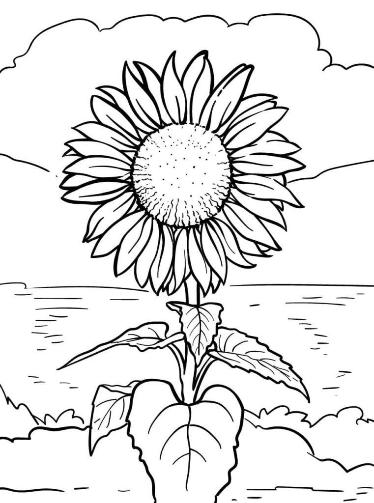 34 Sunny Sunflower Coloring Pages Printable 19