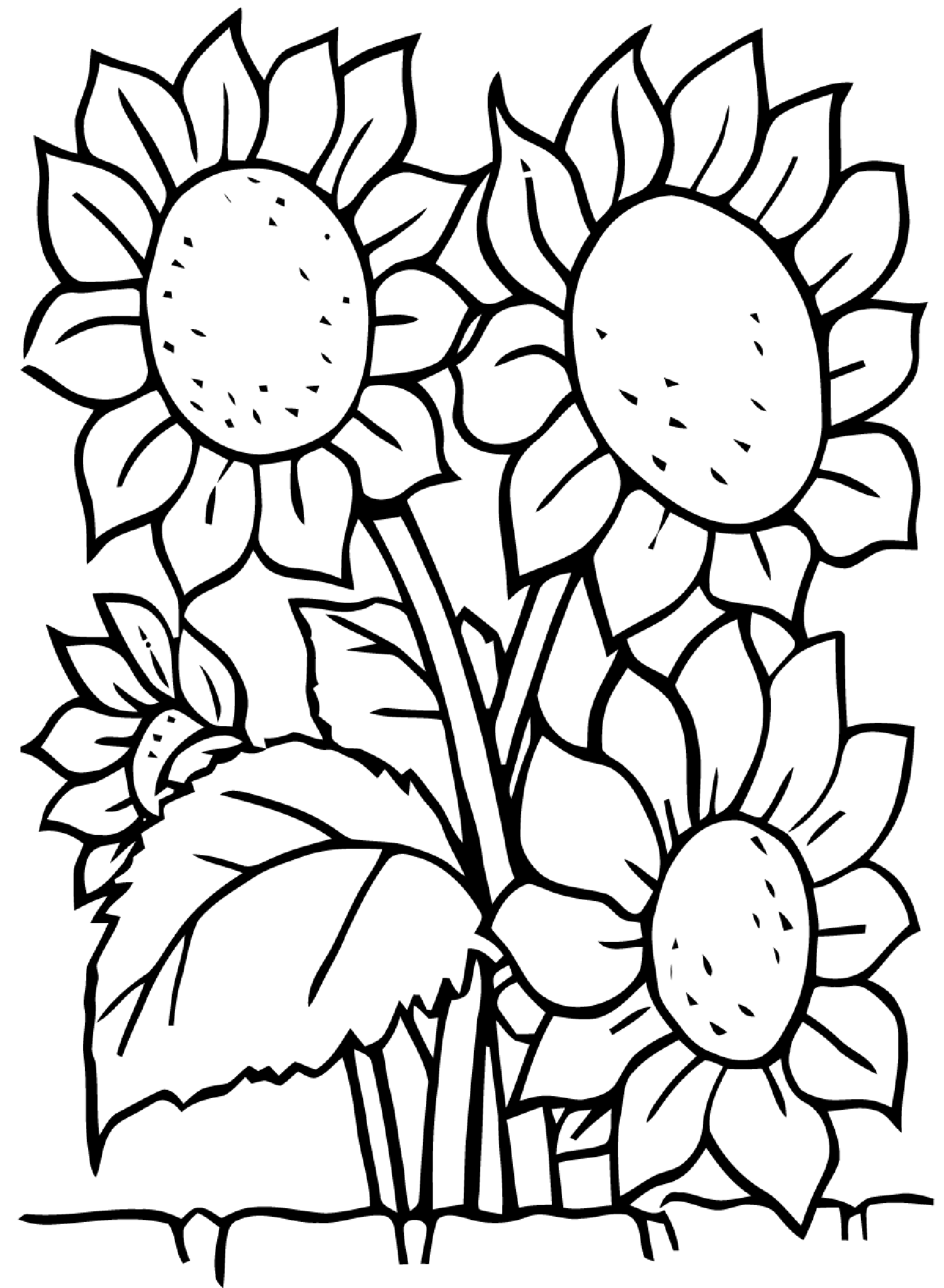 34 Sunny Sunflower Coloring Pages Printable 2