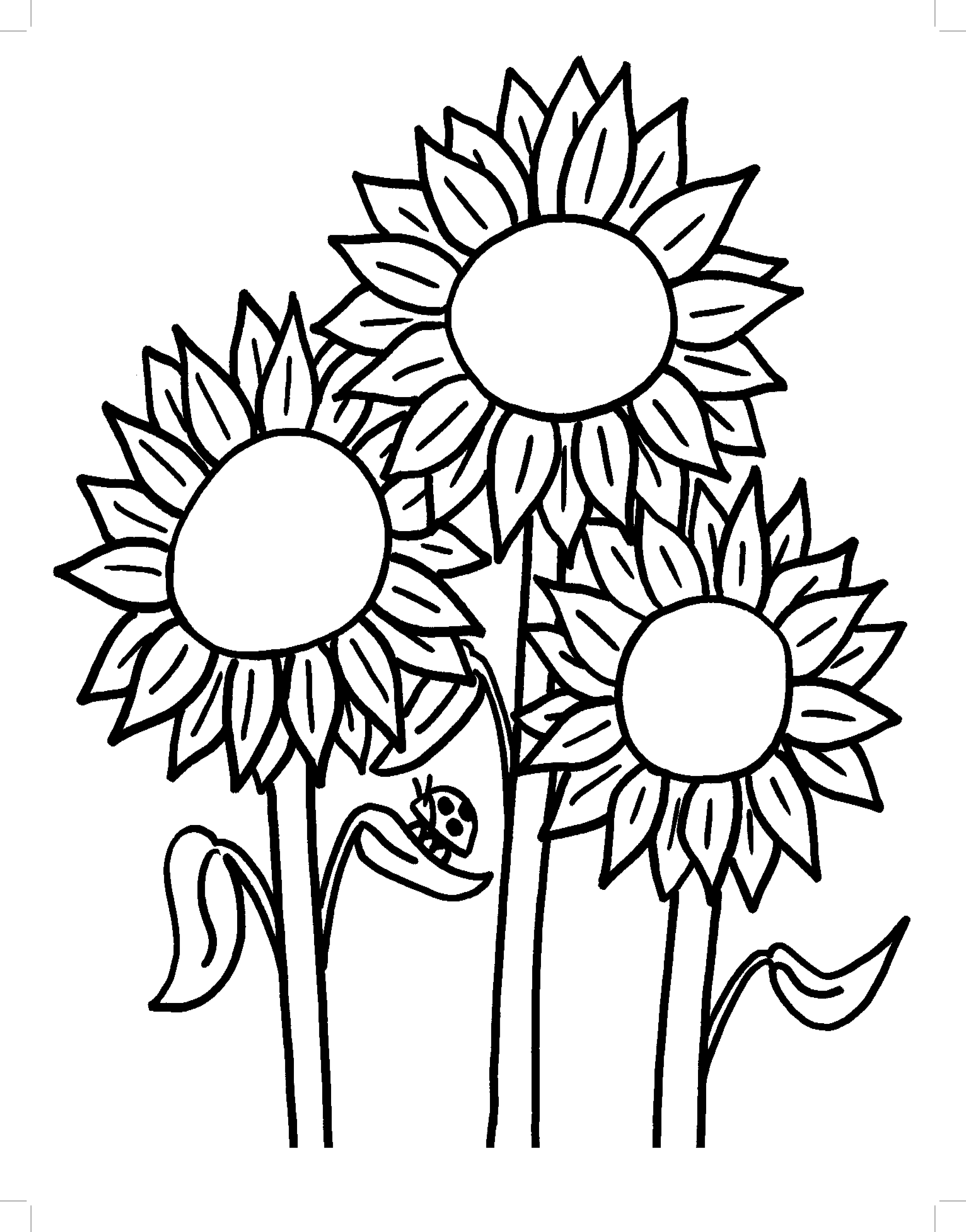 34 Sunny Sunflower Coloring Pages Printable 25