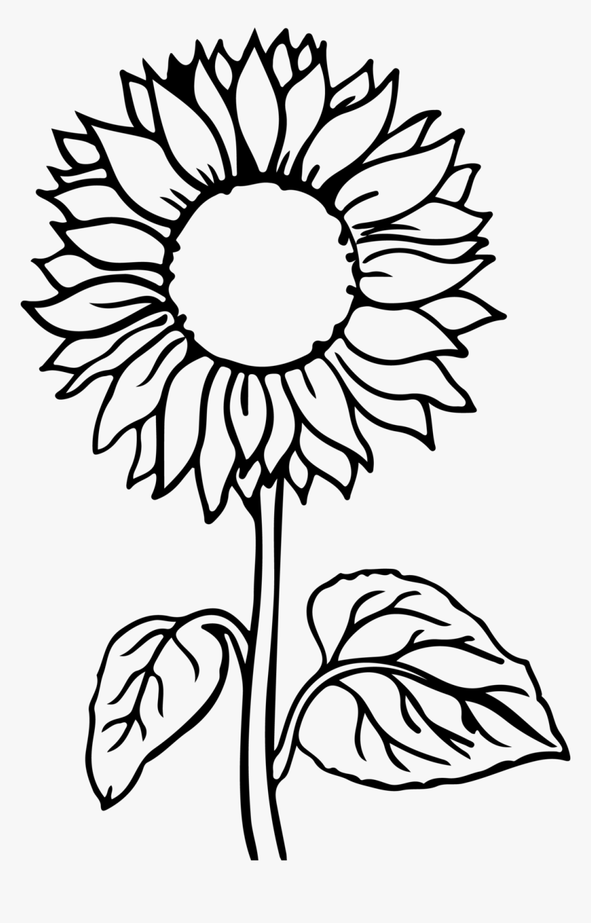 34 Sunny Sunflower Coloring Pages Printable 26