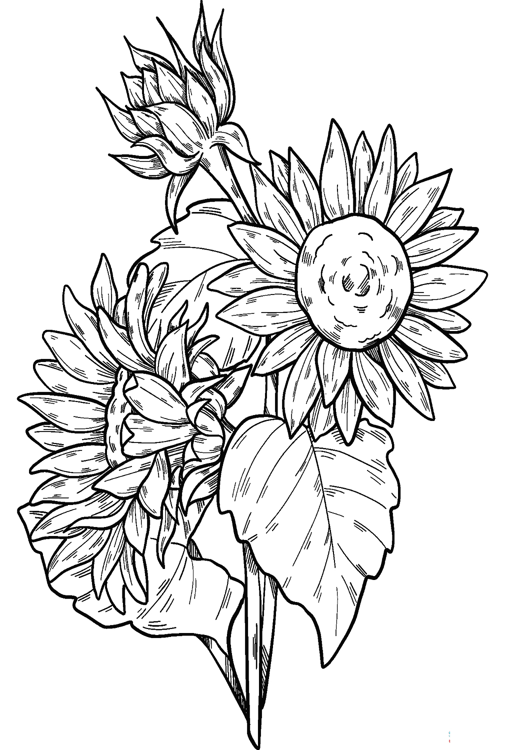 34 Sunny Sunflower Coloring Pages Printable 31