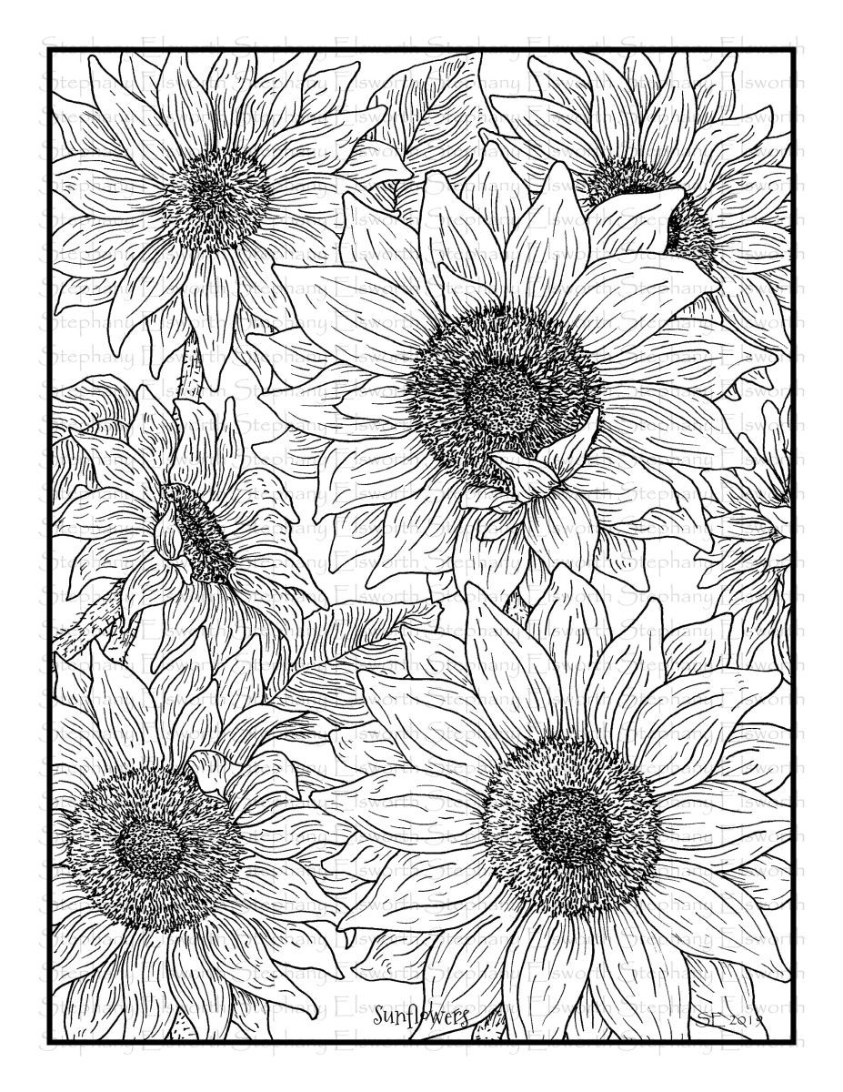 34 Sunny Sunflower Coloring Pages Printable 34