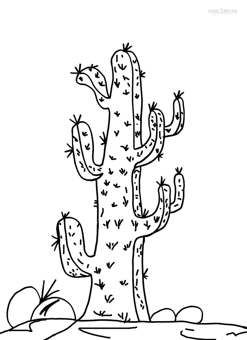 35 Cute Cactus Coloring Pages Printable 16