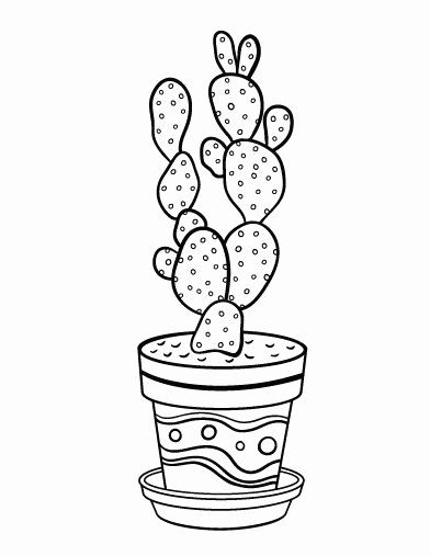 35 Cute Cactus Coloring Pages Printable 17