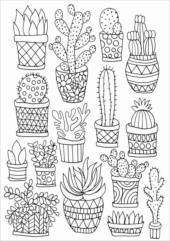 35 Cute Cactus Coloring Pages Printable 27