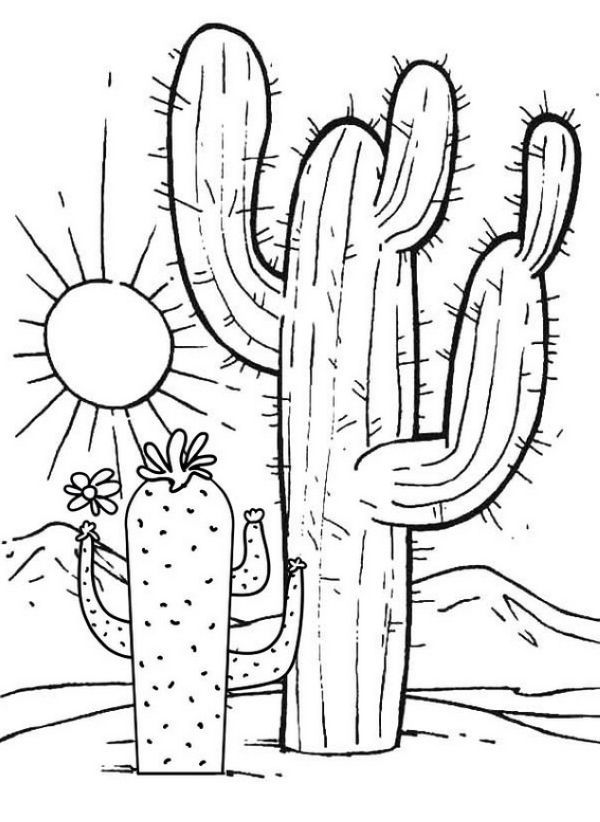 35 Cute Cactus Coloring Pages Printable 28