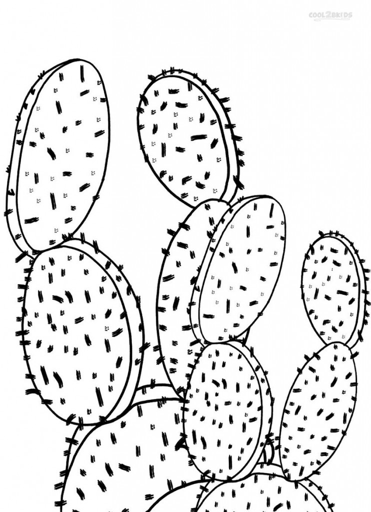 35 Cute Cactus Coloring Pages Printable 30