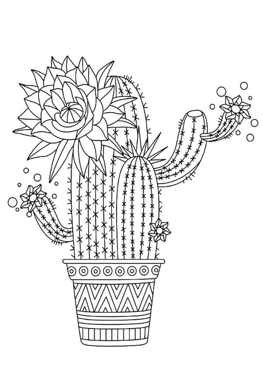 35 Cute Cactus Coloring Pages Printable 33