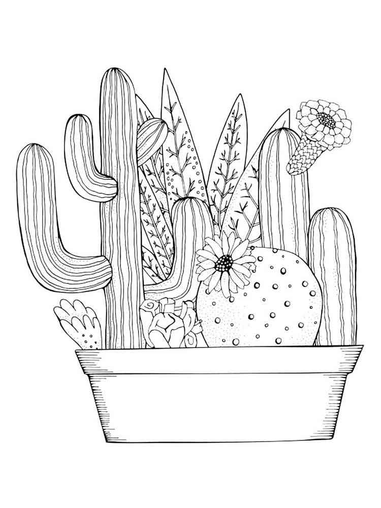 35 Cute Cactus Coloring Pages Printable 35