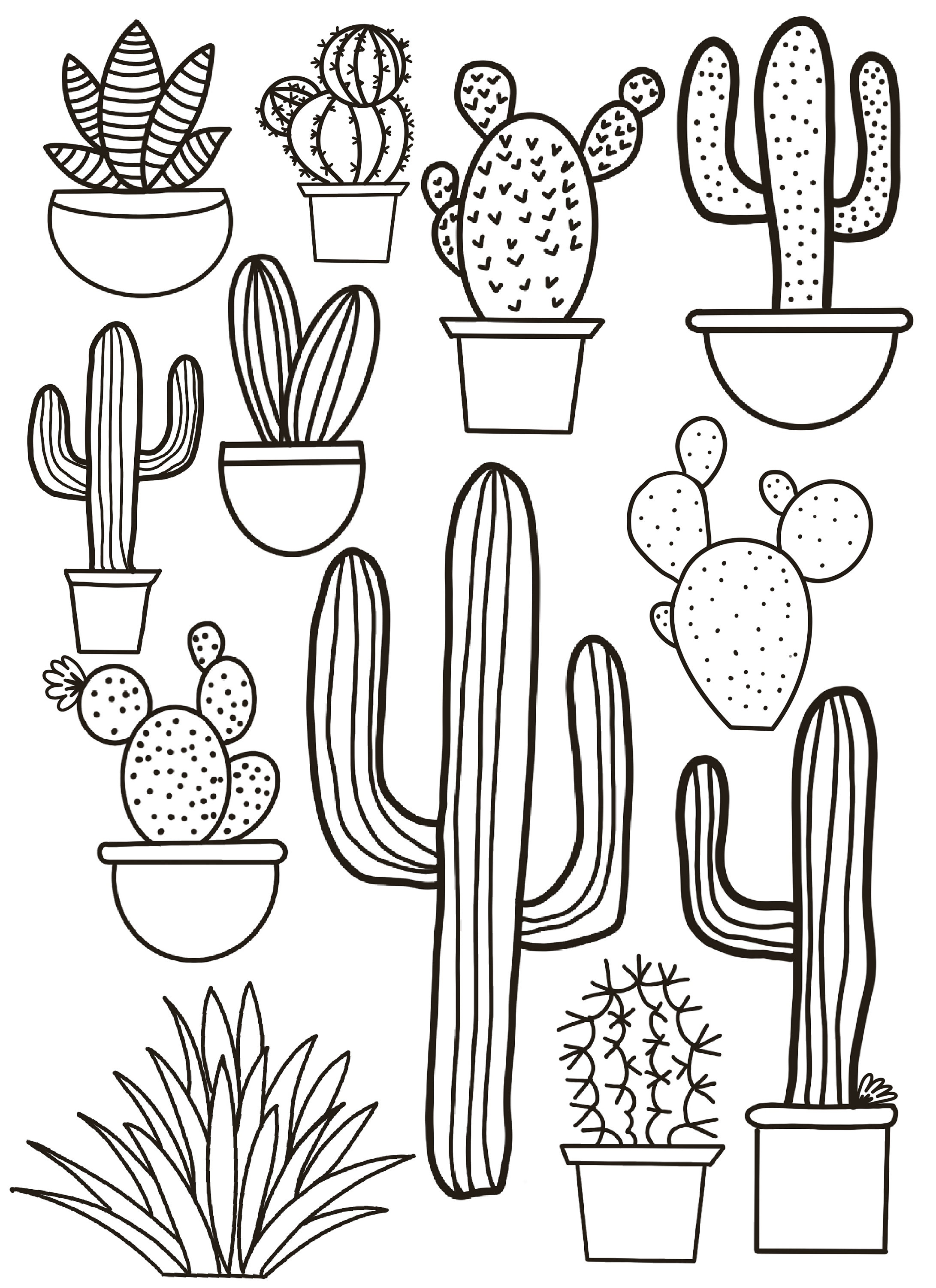 35 Cute Cactus Coloring Pages Printable 4