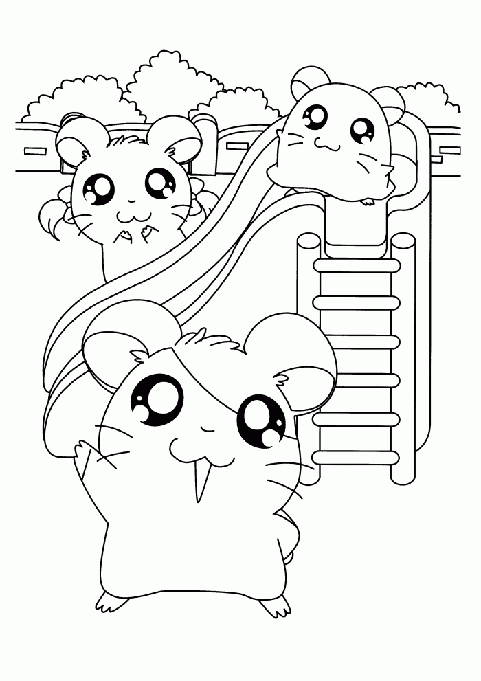 35 Cute Hamster Coloring Pages Printable 10