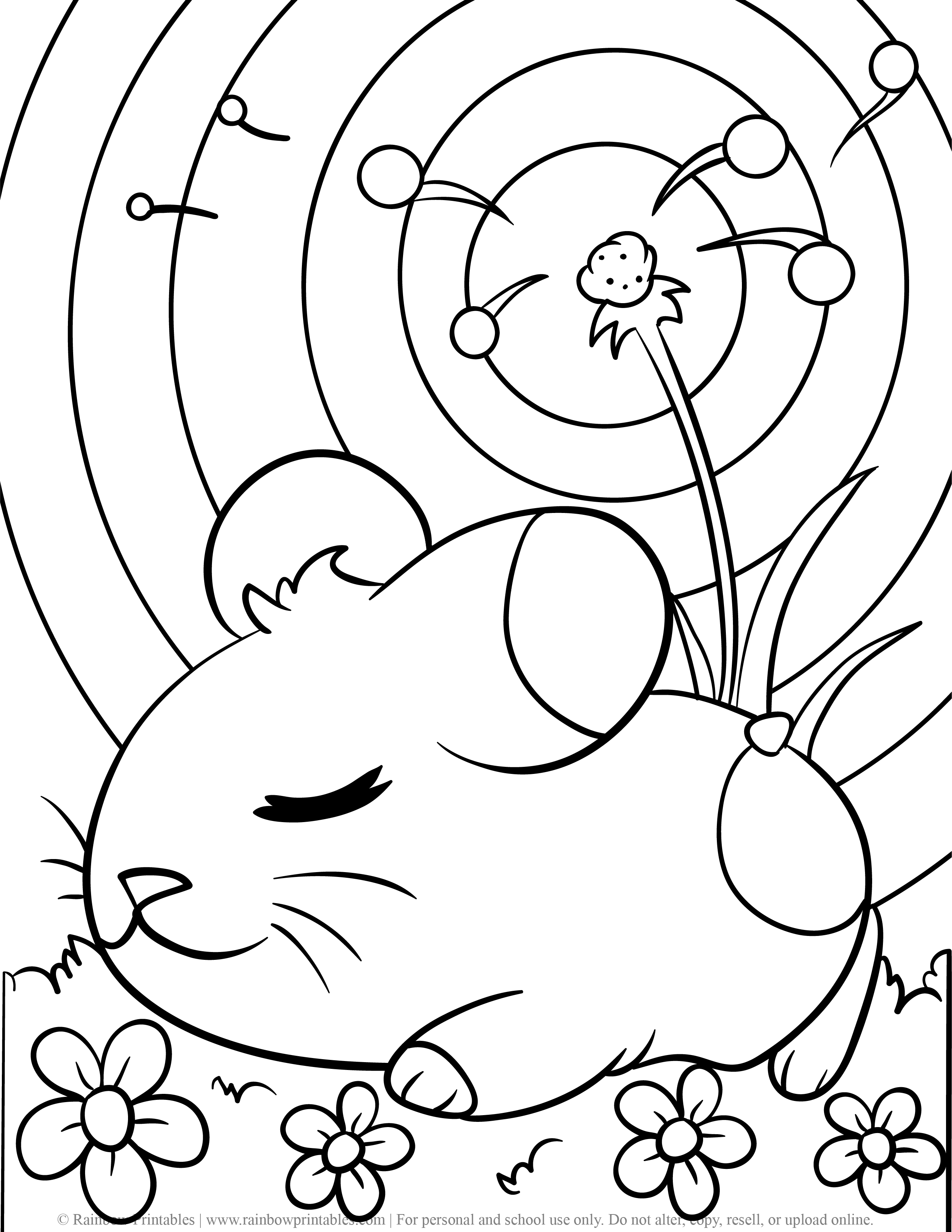 35 Cute Hamster Coloring Pages Printable 11