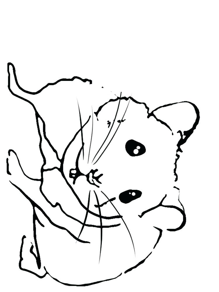 35 Cute Hamster Coloring Pages Printable 12