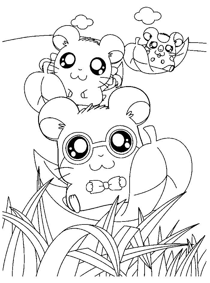 35 Cute Hamster Coloring Pages Printable 19