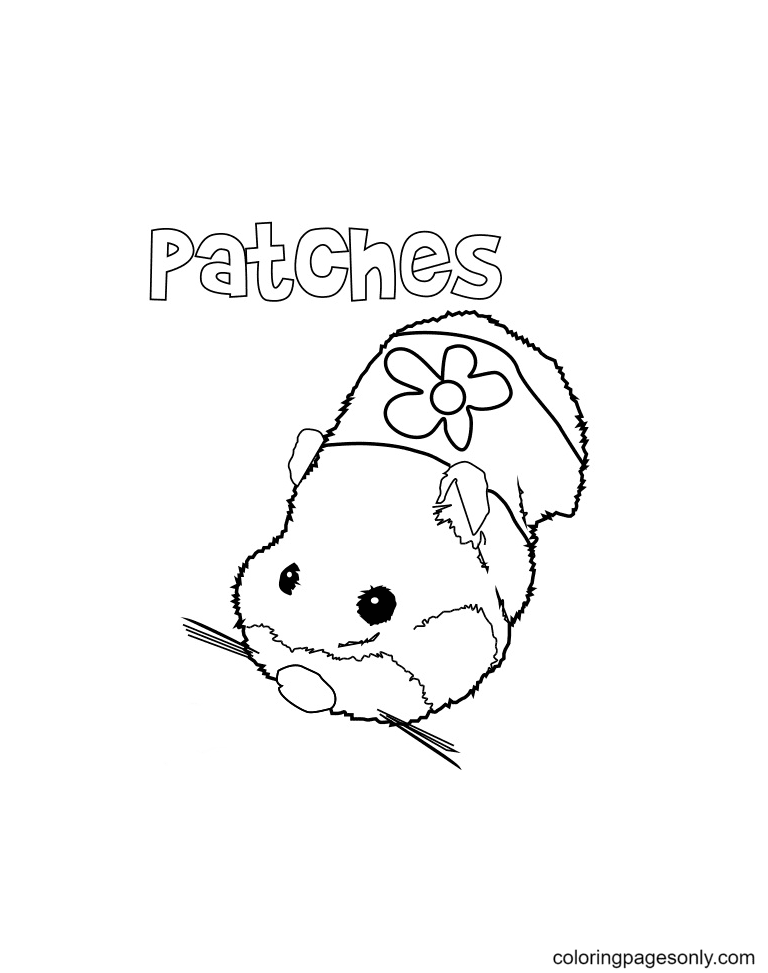 35 Cute Hamster Coloring Pages Printable 20