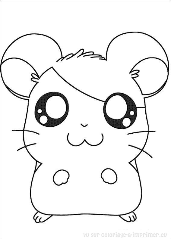 35 Cute Hamster Coloring Pages Printable 21