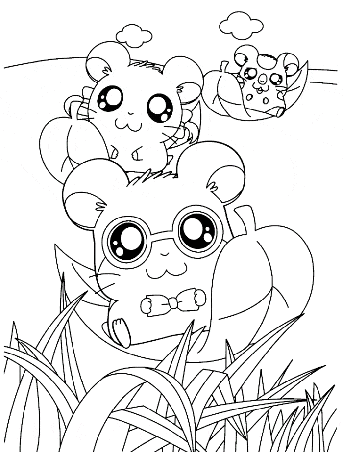 35 Cute Hamster Coloring Pages Printable 31