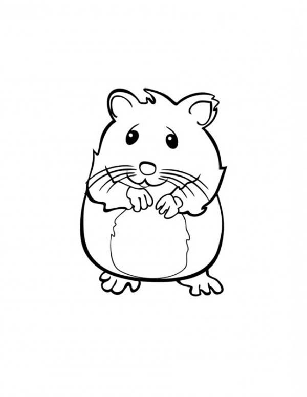 35 Cute Hamster Coloring Pages Printable 6