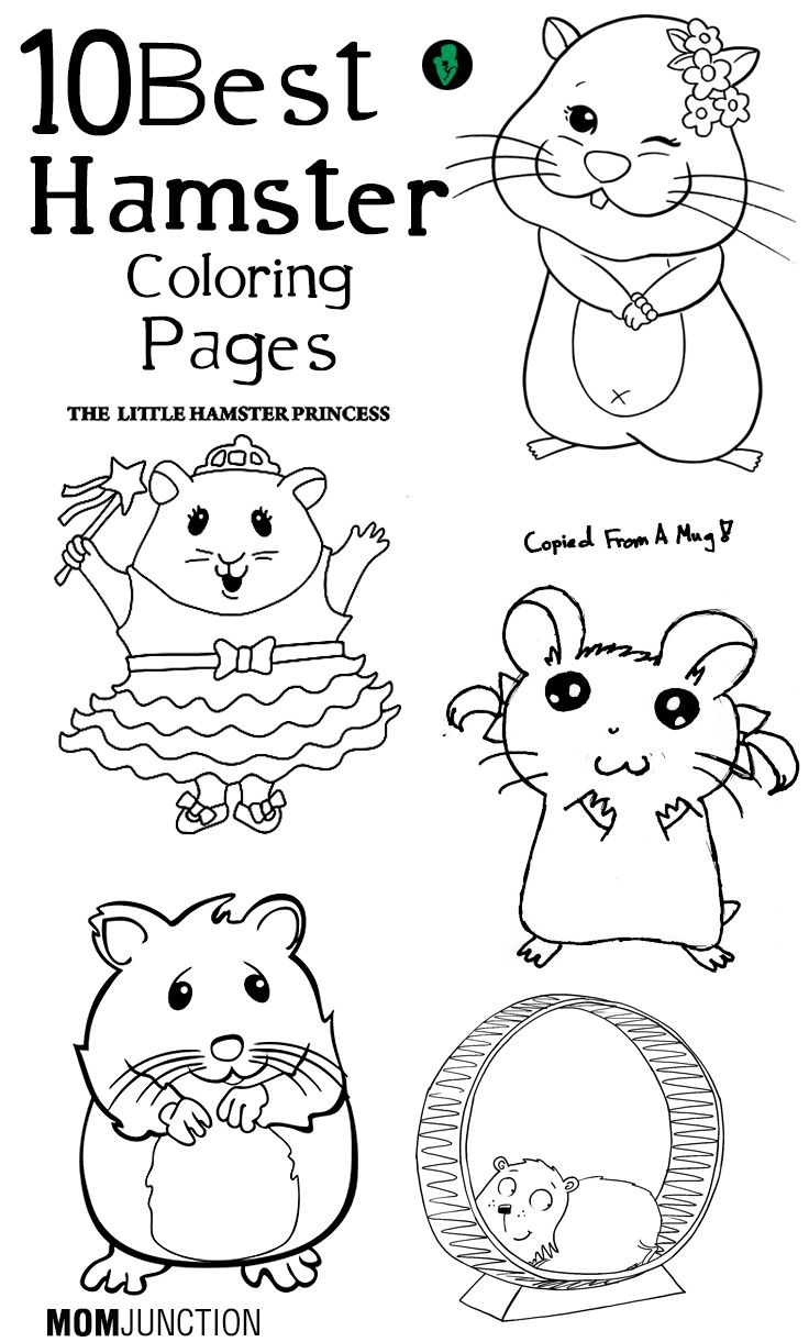 35 Cute Hamster Coloring Pages Printable 7