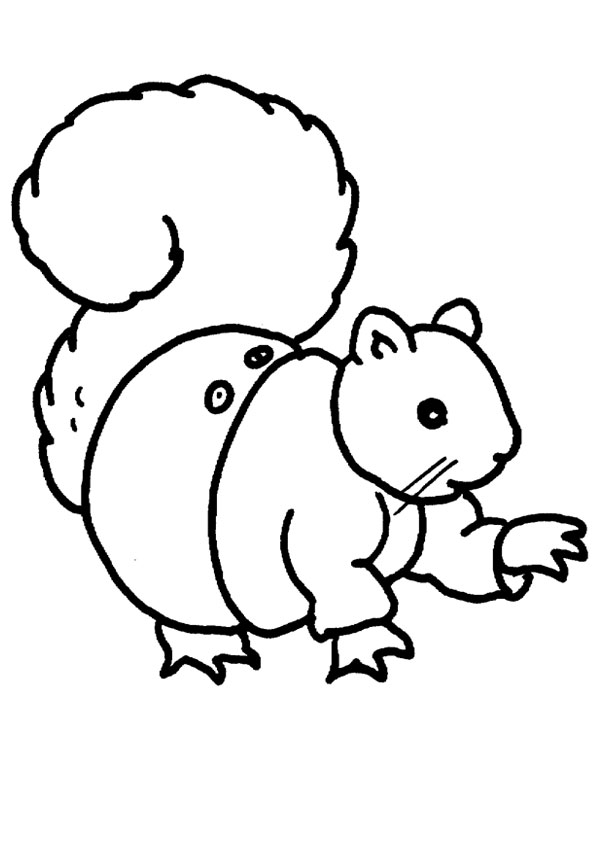 35 Cute Squirrels Coloring Pages Printable 11